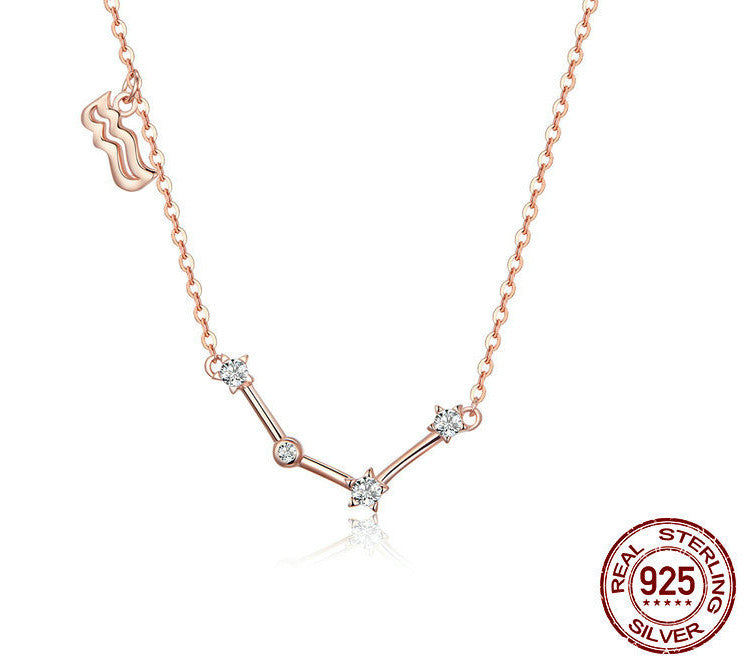 Twelve Constellation Necklace S925 Silver Rose Gold Necklace
