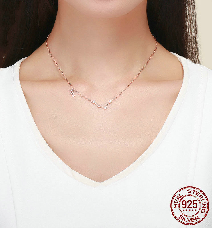 Twelve Constellation Necklace S925 Silver Rose Gold Necklace