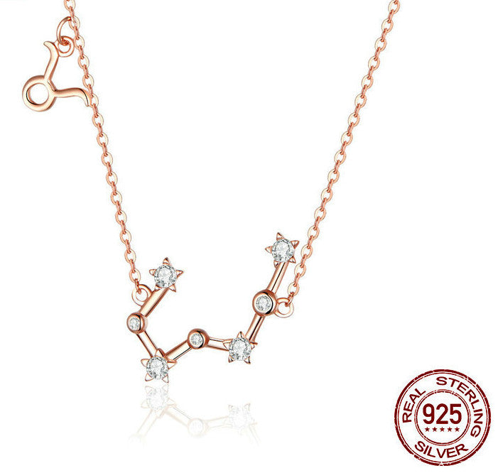 Twelve Constellation Necklace S925 Silver Rose Gold Necklace